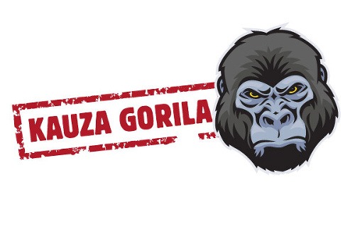 Kauza Gorila (Zdroj: www.topky.sk)